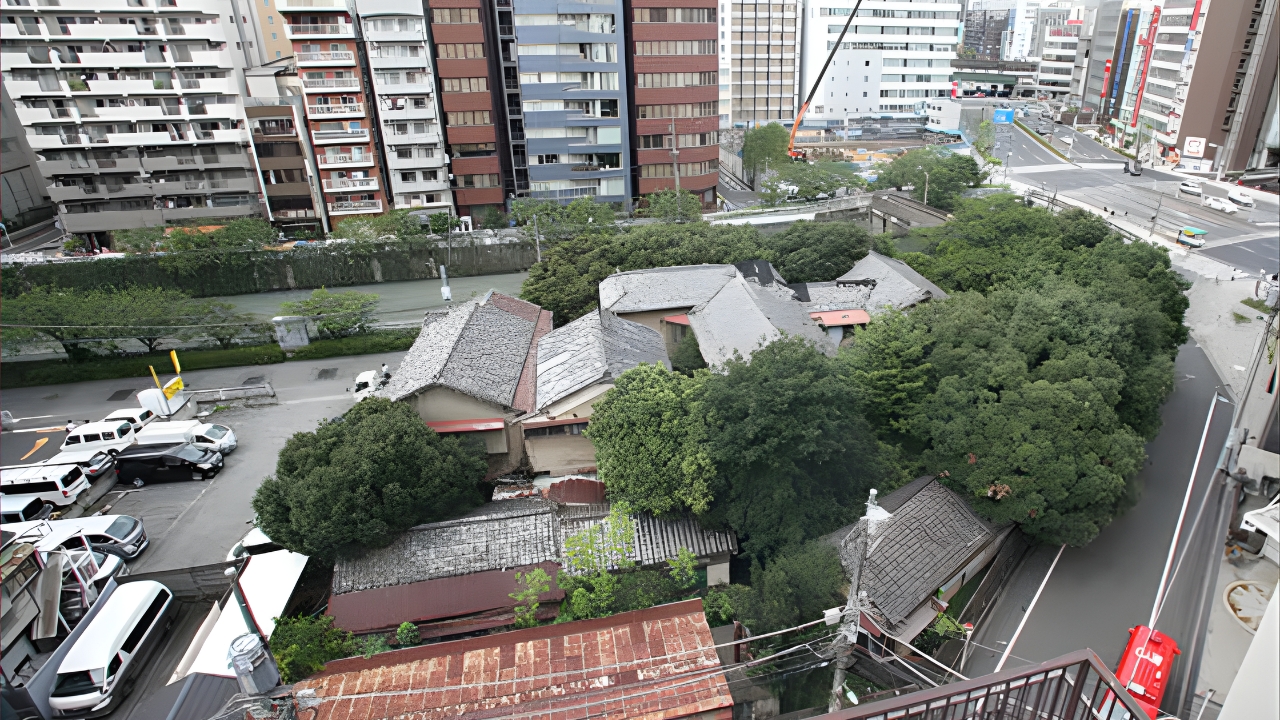 告白